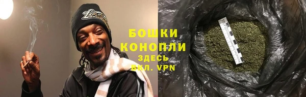 МДПВ Заводоуковск