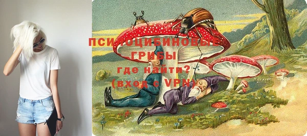 МДПВ Заводоуковск
