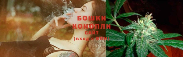 МДПВ Заводоуковск